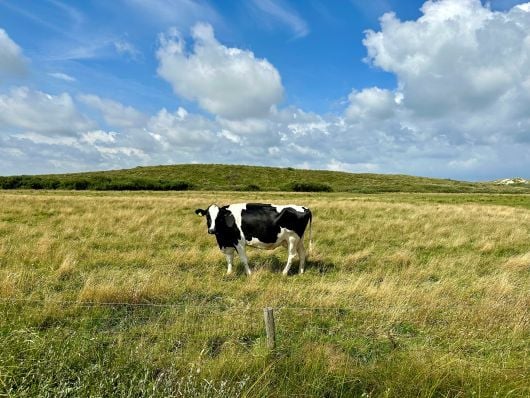 2025-12-13_Insights_TITG