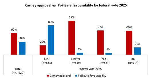 2026-01-31_Insights_Metrics 1