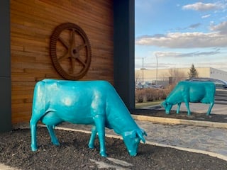 Cowtown image